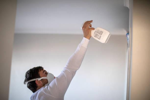 Best Affordable Mold Removal  in Springfield, MI