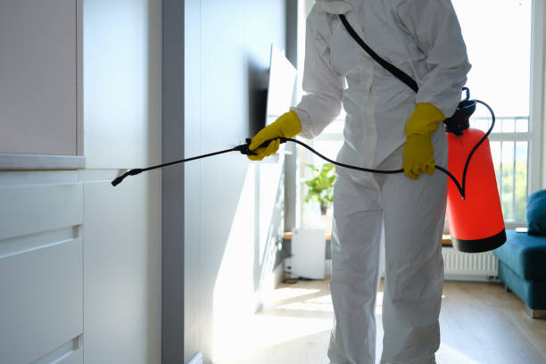 Best Emergency Mold Removal  in Springfield, MI