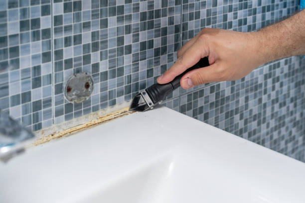 Best Emergency Mold Removal  in Springfield, MI