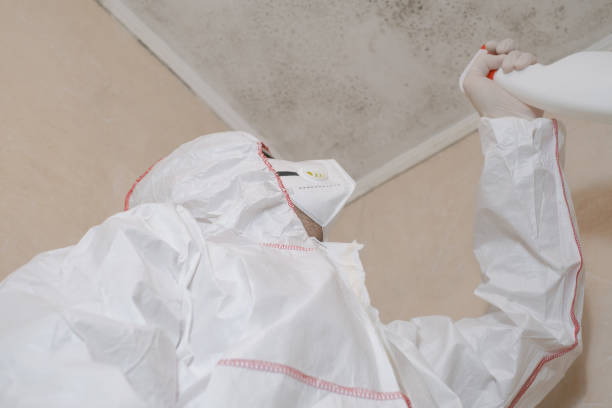 Best Commercial Mold Removal  in Springfield, MI