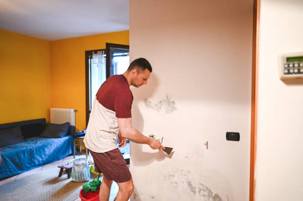  Springfield, MI Mold Removal Pros